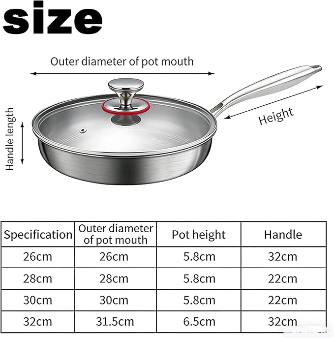 Titanium Pan, 100% Pure Titanium Non-Stick Frying Pan with Lid, Durable Cookware Compatible with All Stovetops Including Induction, Oven Safe, No Coating & Scratch-Resistant (Single pot, 12.60in)