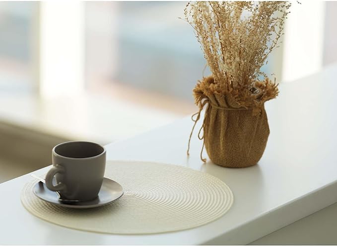 FunWheat Round Braided Placemats Set of 6 Place Mats for Dining Tables Woven Washable Non-Slip Table mats Small 13 inch(S White, 6pcs)