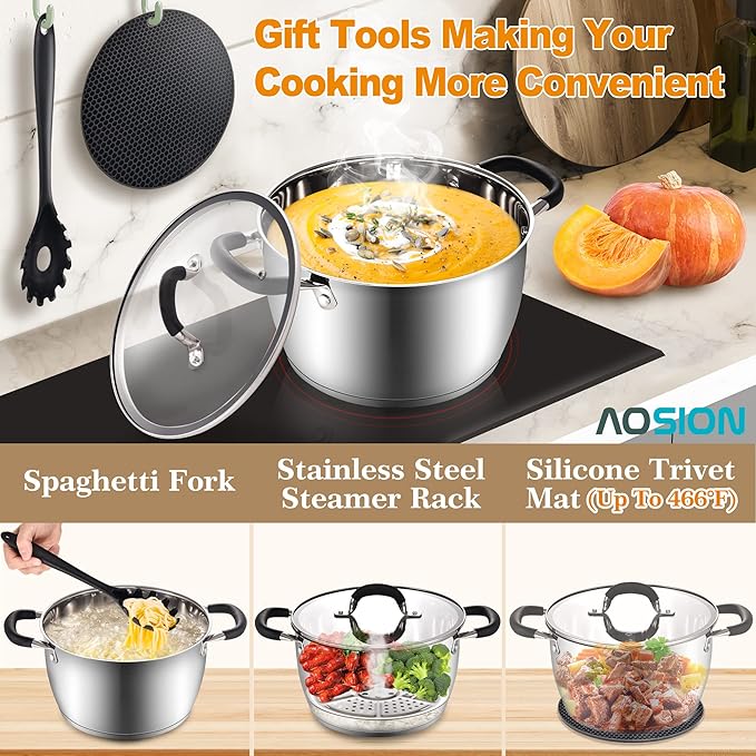 AOSION 6 Quart Steamer Pot With Lid, Nonstick Ceramic Steam Pot with Ladle (Stainless Steel Stockpot)