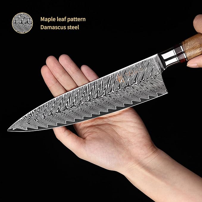 Wakoli Damascus Chef Knife Set with Magnetic Block ??5-Piece Professional Kitchen Knife Block Set, Genuine 67-Layer Damascus Steel Blades with VG10 Core & Ergonomic Sycamore Wood Handles