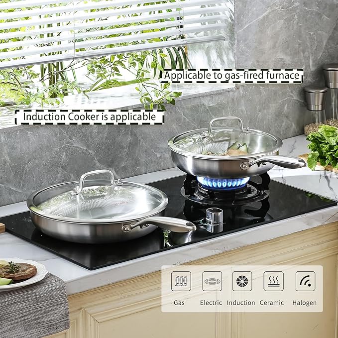 DELARLO Stainless Steel Pan 10.3Inch, Triply Stainless Steel Frying Pan with Lid, Heavy Duty, Compatible with Induction, Gas and Electric up to 650?? Fast & Even Heating, Dishwasher, Oven Safe Skillet
