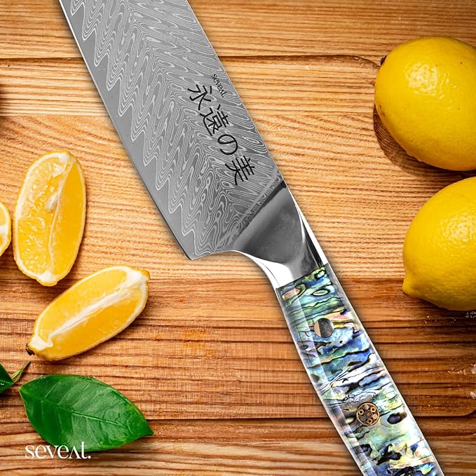 Damascus Kitchen Knife Set, 67-Layer Damascus Steel, Professional Chef Knives Set for Kitchen, Ergonomic Wood & Resin Handle (Blue, 5 pieces with Shell Handle)