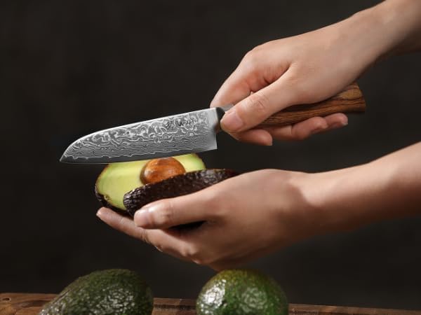 Wakoli EDIB Pro 4-Piece Damascus Knife Set ??Professional Chef Knives Set with VG10 Core Blades, 67-Layer Damascus Steel and Ergonomic Pakkawood Handles ??Premium Kitchen Knives in Elegant Gift Box