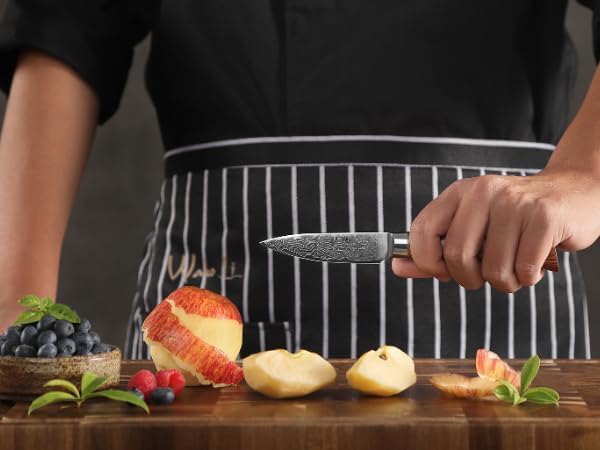 Wakoli EDIB Pro Premium Paring Knife ??Japanese Style Kitchen Knife | 3.2-Inch Blade Made of 67-Layer Real Big Master Steel with Pakka Wood Handle | Professional Cooking Tool
