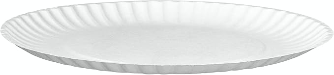GUSTO [9 Inch - 200 Count Uncoated White Paper Plates - Disposable Party Decorative Paper Plates for Crafts - (Formerly Comfy Package)