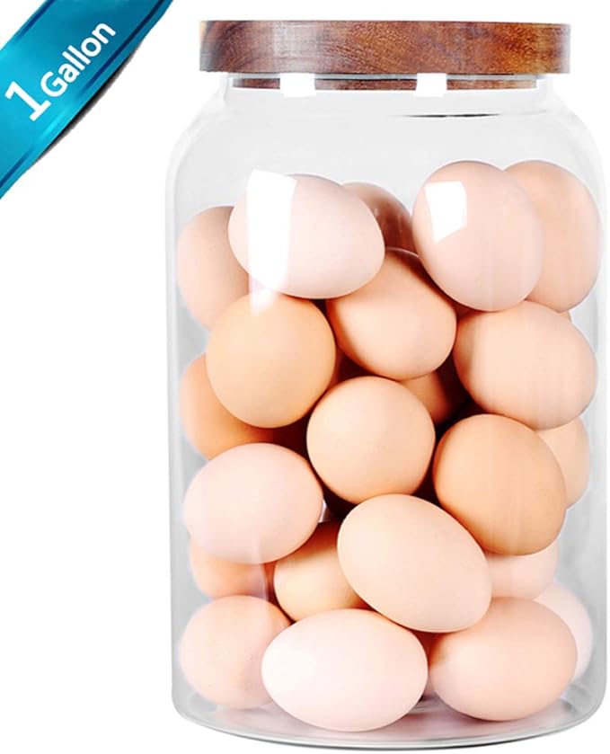 SAIOOL Egg Jar,kitchen canister竊?1 Gallon Large Glass Food Storage Jars with Airtight Lid, Clear