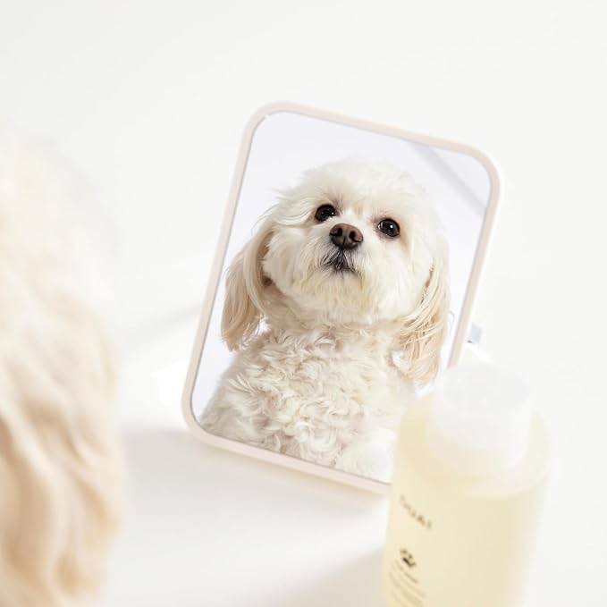 OUAI Fur B챕b챕 Pet Shampoo, Mercer Street Scent - Dog Shampoo and Coat Wash for Hydrating, Cleansing and Adding Shine - Pet Supplies by OUAI (16 Fl Oz)