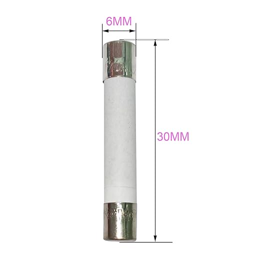 20 Amp Microwave Fuse 20A 250V Ceramic Slow-Blow 6x30mm [6-Pack] - Universal Replacement for GE WB27X10388 Kenmore Digital Countertop Microwave Ovens