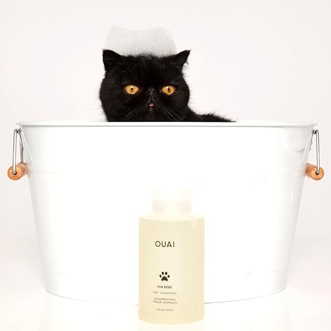 OUAI Fur B챕b챕 Pet Shampoo, Mercer Street Scent - Dog Shampoo and Coat Wash for Hydrating, Cleansing and Adding Shine - Pet Supplies by OUAI (16 Fl Oz)