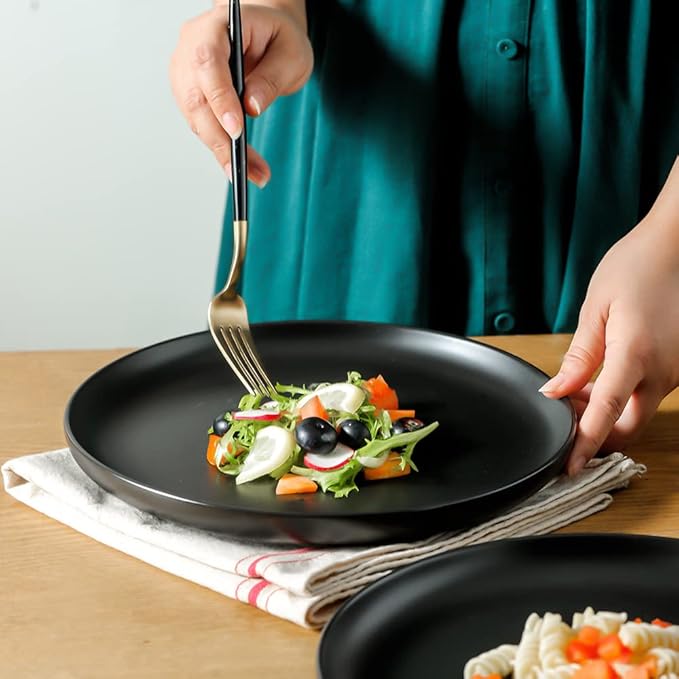 KOOV Ceramic Dinner Plates Set of 6, 10.25 Inch Large Porcelain Plates for Salad, Pasta, Kitchen Serving Dish, Reactive Glazed (Matte Black)