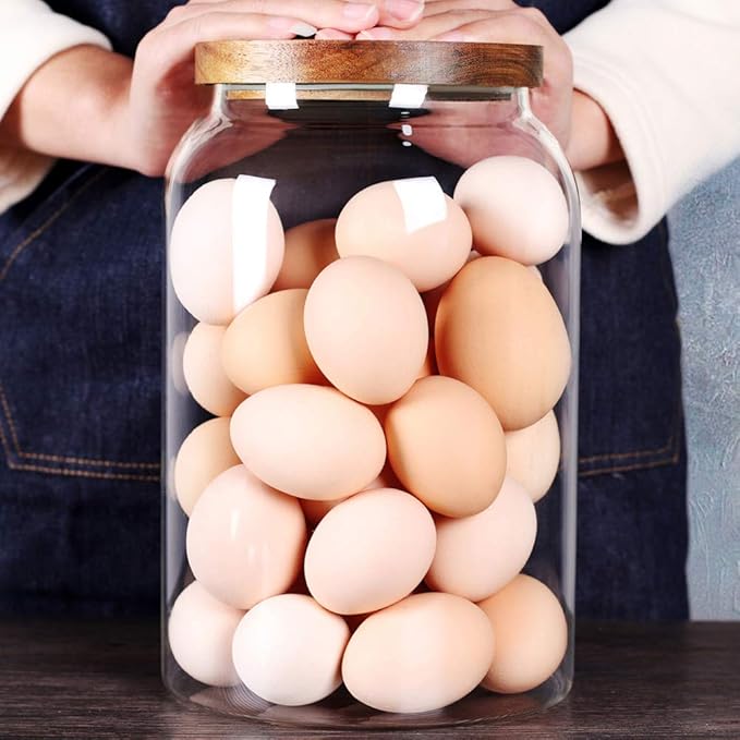 SAIOOL Egg Jar,kitchen canister竊?1 Gallon Large Glass Food Storage Jars with Airtight Lid, Clear