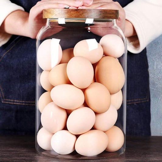 SAIOOL Egg Jar,kitchen canister竊?1 Gallon Large Glass Food Storage Jars with Airtight Lid, Clear