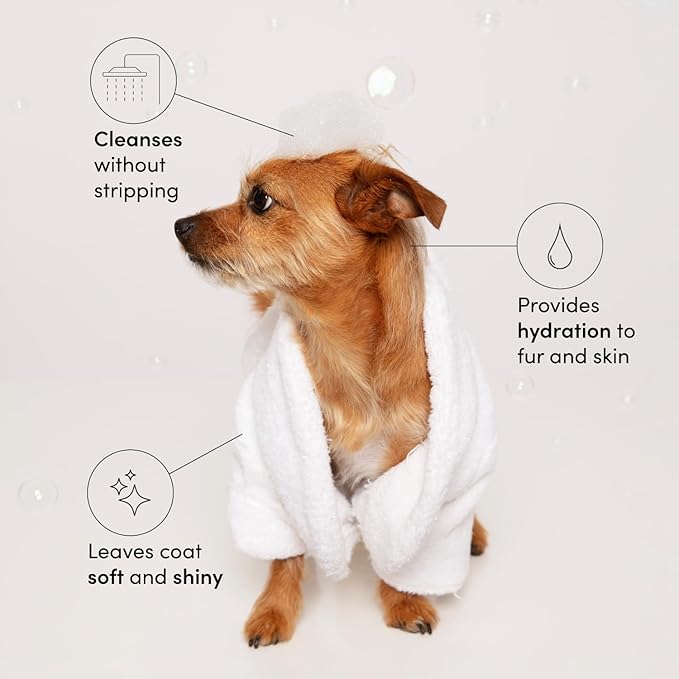 OUAI Fur B챕b챕 Pet Shampoo, Mercer Street Scent - Dog Shampoo and Coat Wash for Hydrating, Cleansing and Adding Shine - Pet Supplies by OUAI (16 Fl Oz)