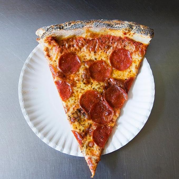 Bluetable 9 Inch Paper Plates Bulk ??500 Count - Uncoated White 9??Dinner Plate Pizza Plate Decorative Craft Paper Plates Disposable Plates [500 Pack/Case]