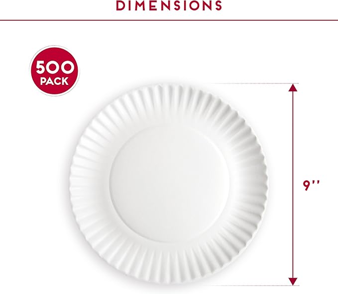 9-Inch Disposable Paper Plates - 500 Count - Bulk Pack of Uncoated Paper Plates for Everyday Use - Dinnerware for Meals, Parties And Picnics