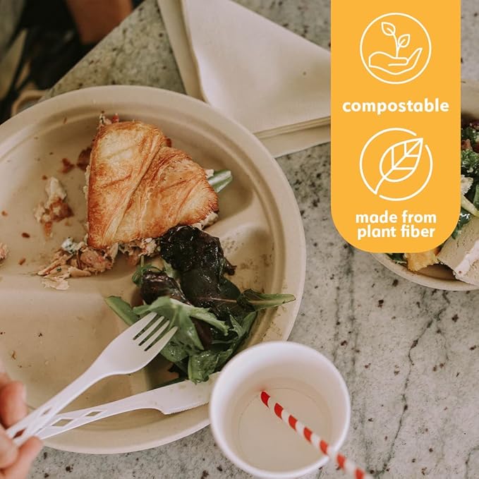 100% Compostable Disposable Paper Plates Bulk [10" 3-Comp 125 Pack], Bamboo Plates, Eco Friendly, Biodegradable, Sturdy Large Dinner Party Plates, Heavy-Duty, Unbleached by Earth's Natural Alternative