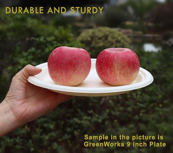 GreenWorks 500 Count 6??Small Compostable Dessert Plates, Heavy-duty Unbleached Biodegradable Bagasse and Bamboo fiber Paper Plates