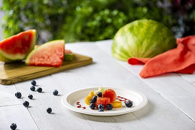 GUSTO [Case of 500 9 Inch Heavy-Duty White Paper Plates, 100% Compostable, Eco-Friendly - Biodegradable Disposable Plates, Sugarcane Paper Plates (Formerly Comfy Package)
