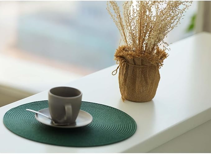FunWheat Round Braided Placemats Set of 4 Place Mats for Dining Tables Woven Washable Non-Slip Table mats Small 13 inch(S Green, 4pcs)