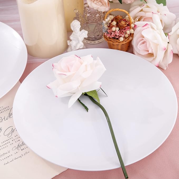 Hioasis 100pcs White Plastic Plates - 10.25 inch White Disposable Dinner Plates,Plastic Dinner Plates,Classy and Elegant Perfect for Wedding & Party