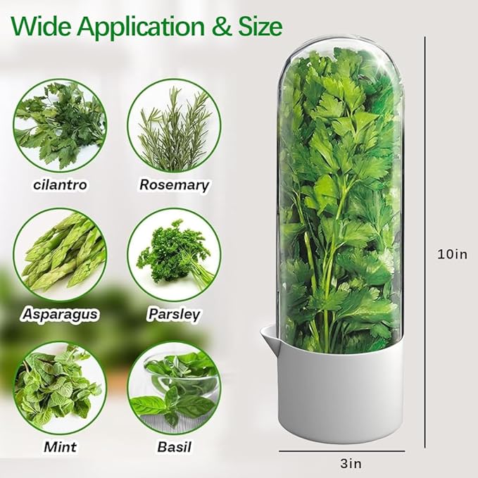 2 Pack Herb Keeper for Refrigerator, Clear BPA-Free Fresh Herb Saver, Fridge Storage Container for Cilantro, Parsley, Thyme, Mint & Asparagus for 2-3 Weeks