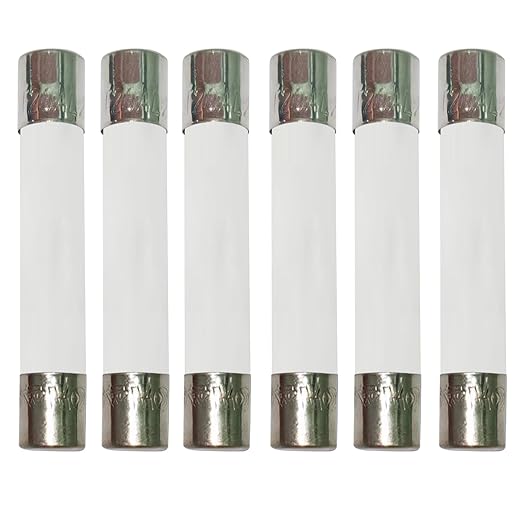 20 Amp Microwave Fuse 20A 250V Ceramic Slow-Blow 6x30mm [6-Pack] - Universal Replacement for GE WB27X10388 Kenmore Digital Countertop Microwave Ovens