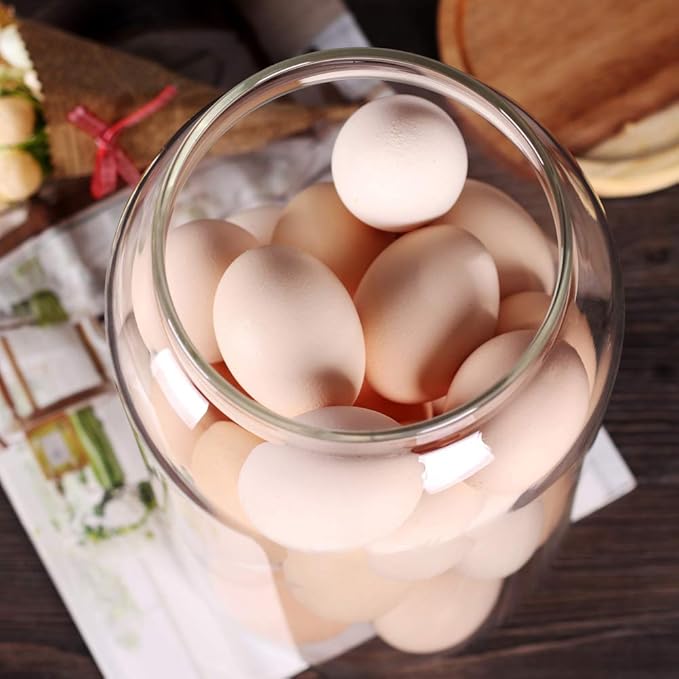 SAIOOL Egg Jar,kitchen canister竊?1 Gallon Large Glass Food Storage Jars with Airtight Lid, Clear