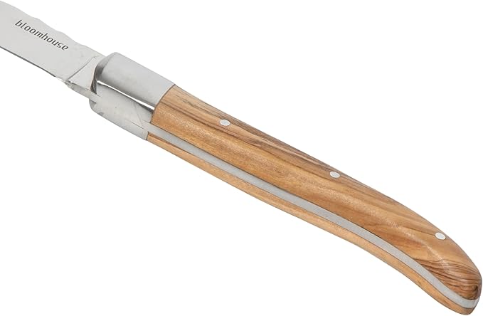 Bloomhouse 4-Piece German Stainless Steel Steak Knife Set ??Premium Olive Wood Handle Steak Knives, Full-Tang Blades for Dining