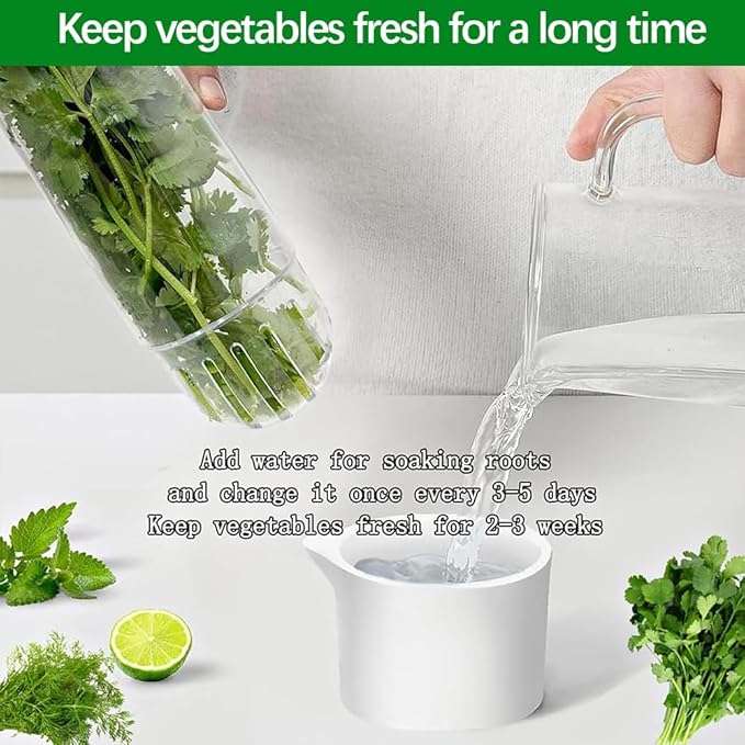 2 Pack Herb Keeper for Refrigerator, Clear BPA-Free Fresh Herb Saver, Fridge Storage Container for Cilantro, Parsley, Thyme, Mint & Asparagus for 2-3 Weeks