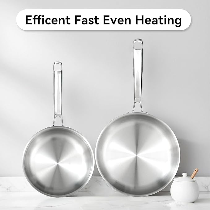 Professional Grade 316L Stainless Steel Frying Pan | 9.5 Inch Skillet with Glass Lid | Healthy PFOA/PFOA-Free & Dishwasher Safe | Induction & Gas Stove Compatible, Oven Safe to 500째F