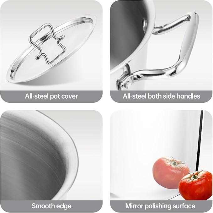 Whole-Clad Tri-Ply Stainless Steel Stockpot with Lid, 8 Quart Large Cooking Pot All Stove Compatible Up to 600?? 18/8 Stainless Steel Kitchen Induction Ready Cookware