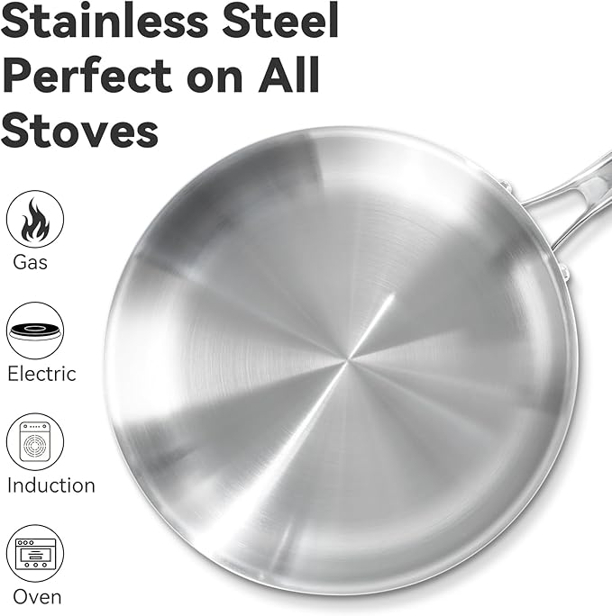 Professional Grade 316L Stainless Steel Frying Pan | 9.5 Inch Skillet with Glass Lid | Healthy PFOA/PFOA-Free & Dishwasher Safe | Induction & Gas Stove Compatible, Oven Safe to 500째F