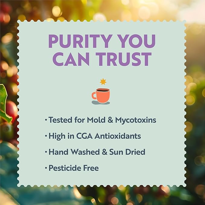 Clean Coffee Co. - Low Acid Medium Roast, Tested for Molds and Toxins, Costa Rica Blend, Notes of Milk Chocolate, Roasted Nuts, Toasted Malt (Whole Bean, 12 oz Bag)