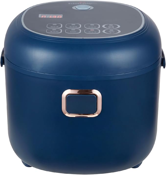 Mini Rice Cooker,2L Portable Travel For Car/Truck/Home,Multicooker 24h Keep Warm,12V/24V/110V Small with Steam Tray(Blue)