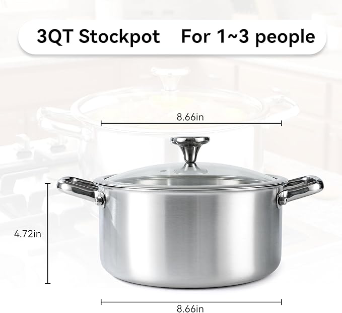 Professional Grade 316L Stainless Steel Frying Pan | 9.5 Inch Skillet with Glass Lid | Healthy PFOA/PFOA-Free & Dishwasher Safe | Induction & Gas Stove Compatible, Oven Safe to 500째F