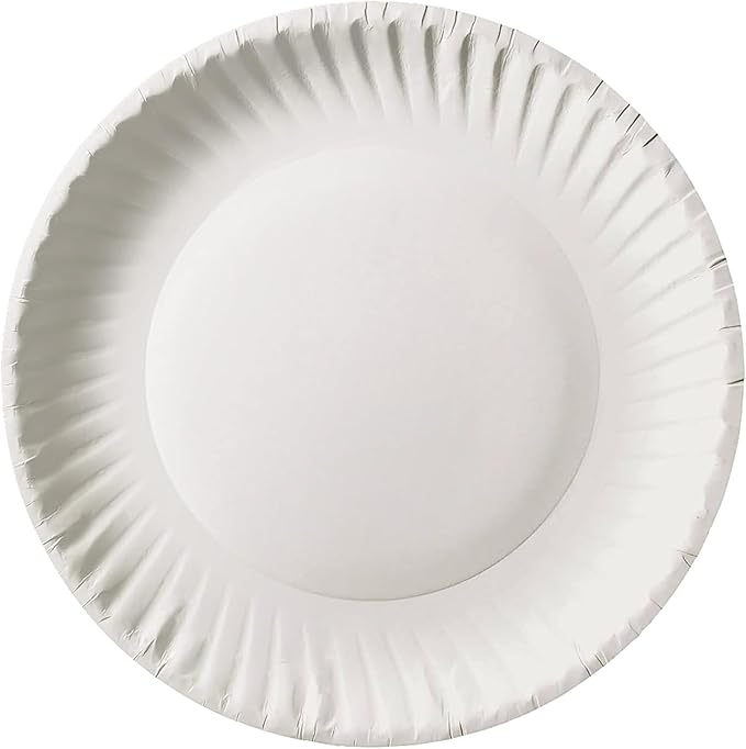 Bluetable 9 Inch Paper Plates Bulk ??500 Count - Uncoated White 9??Dinner Plate Pizza Plate Decorative Craft Paper Plates Disposable Plates [500 Pack/Case]