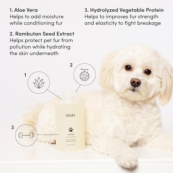 OUAI Fur B챕b챕 Pet Shampoo, Mercer Street Scent - Dog Shampoo and Coat Wash for Hydrating, Cleansing and Adding Shine - Pet Supplies by OUAI (16 Fl Oz)