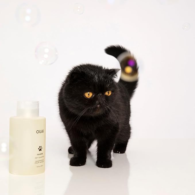 OUAI Fur B챕b챕 Pet Shampoo, Mercer Street Scent - Dog Shampoo and Coat Wash for Hydrating, Cleansing and Adding Shine - Pet Supplies by OUAI (16 Fl Oz)