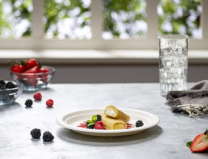 GUSTO [Case of 500 9 Inch Heavy-Duty White Paper Plates, 100% Compostable, Eco-Friendly - Biodegradable Disposable Plates, Sugarcane Paper Plates (Formerly Comfy Package)