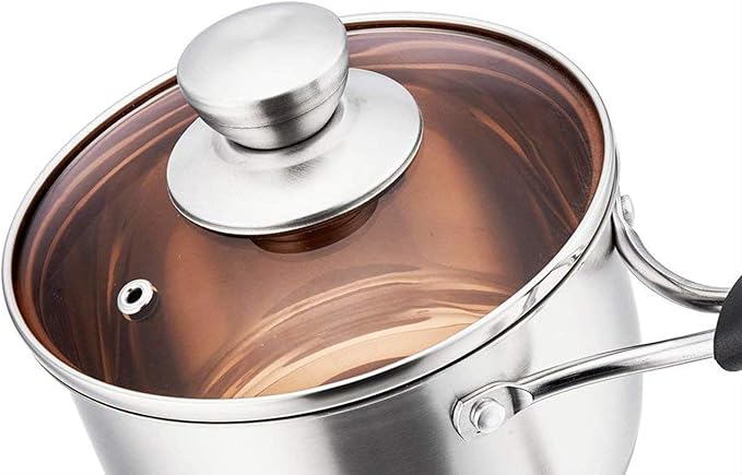 P&P CHEF 1 Quart Saucepan Small Pot, Stainless Steel Saucepan with Lid, Small Sauce Pan for Home Kitchen Restaurant Cooking, Visible Glass lid & Bakelite Heat-Proof Handles,Dishwasher Safe, 1 Pc
