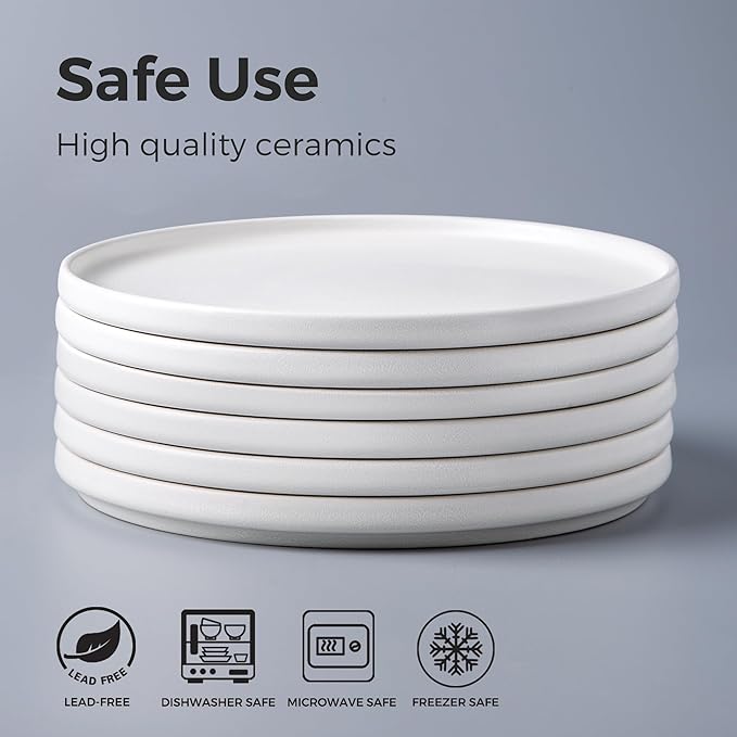AmorArc Ceramic Dinner Salad Plates Set of 6, 8.5 Inch Reactive Matte Glaze Dish Set, Dessert,Salad, Appetizer, Small Dinner Plate,Microwave, Dishwasher Safe, Scratch Resistant-Matte White