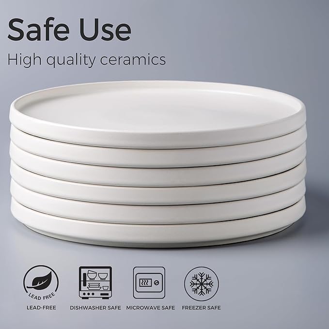 AmorArc Stoneware Dinner Plates Set of 6, 10.5 Inch Reactive Matte Glaze Ceramic Plates Set, Modern Dinnerware Dish set for Kitchen,Microwave, Dishwasher Safe, Scratch Resistant,Matte White