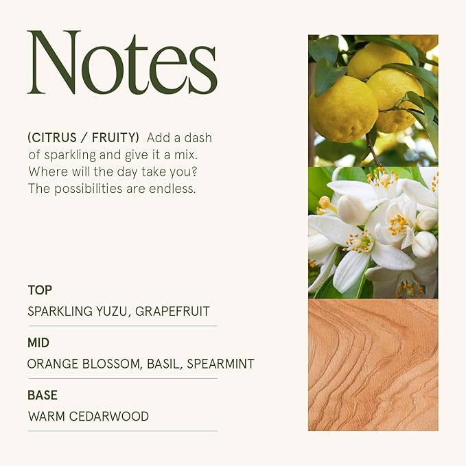 LA JOLIE MUSE Yuzu & Neroli Blossom Candle - Yuzu, Orange Blossom, Cedarwood | 12 oz Large 2-Wick Soy Wax Candle | 60 Hours Clean Burn | Citrus Scented Candle | Elegant Home D챕cor