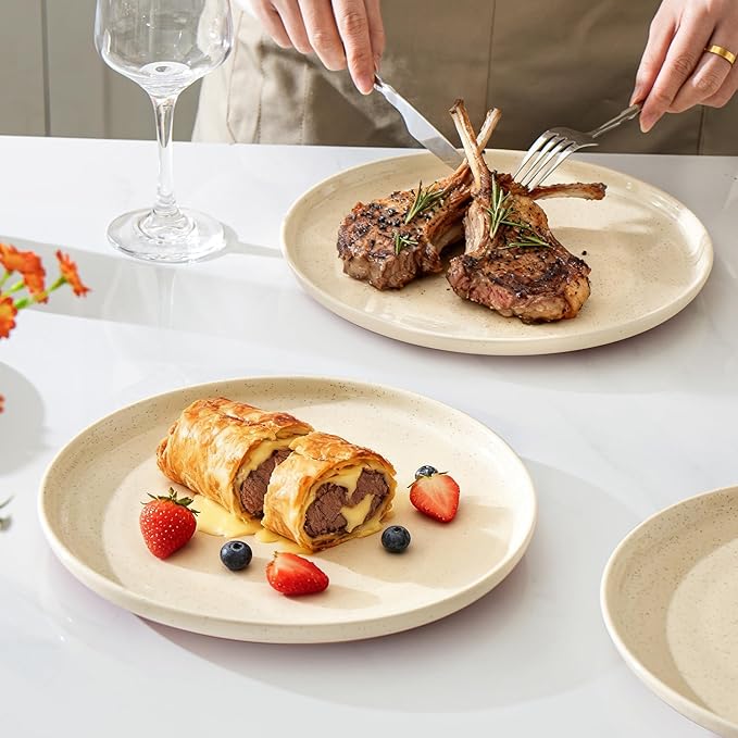 GZG Ceramic Dinner Plates Set of 4, 10.25 Inch Speckled Stoneware Plates with Clay-Tone Base, Large Ceramic Plates for Steak, Salad, Pizza, Microwave Oven Dishwasher Safe