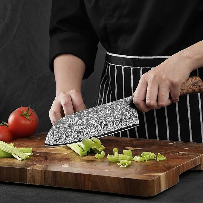 Wakoli EDIB Pro Premium Big Santoku Knife ??Japanese Style Kitchen Knife | 6.7-Inch Genuine Damascus Steel Blade with VG10 Core | Ergonomic Pakkawood Handle | Professional Chef Knife in Gift Box
