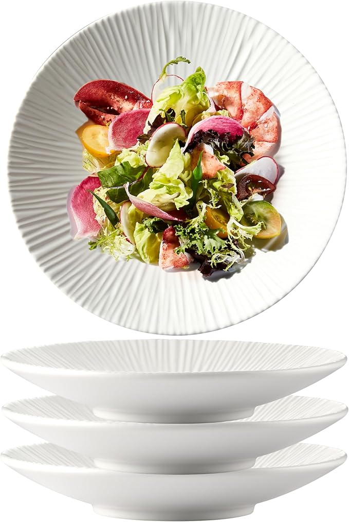 CLAY TONIC Set of 4-10.3 Inch Japanese Style Porcelain Round Dinner Plates, Versatile Circular Serving Plates for Pasta, Salad, Steak Dinner (White, 10.3 Inches)