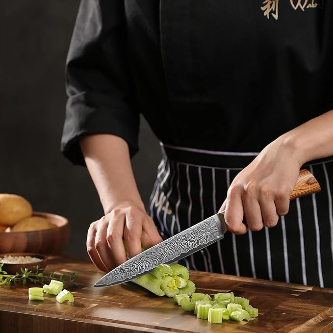 Wakoli EDIB Pro Damascus Carving Knife ??Japanese Style Meat Slicer | 6.7-Inch Blade Made of 67-Layer Damascus Steel with VG10 Core | Ergonomic Pakkawood Handle | Professional Carving Tool