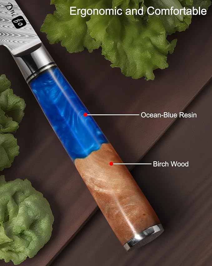 Classic Paring Knife 3.5 Inch, Japanese VG10 Steel Damascus Fruit Knife, Sharp Small Kitchen Knife with Gift Box and Resin Wood Handle,Ideal Birthday Gift for Men and Women