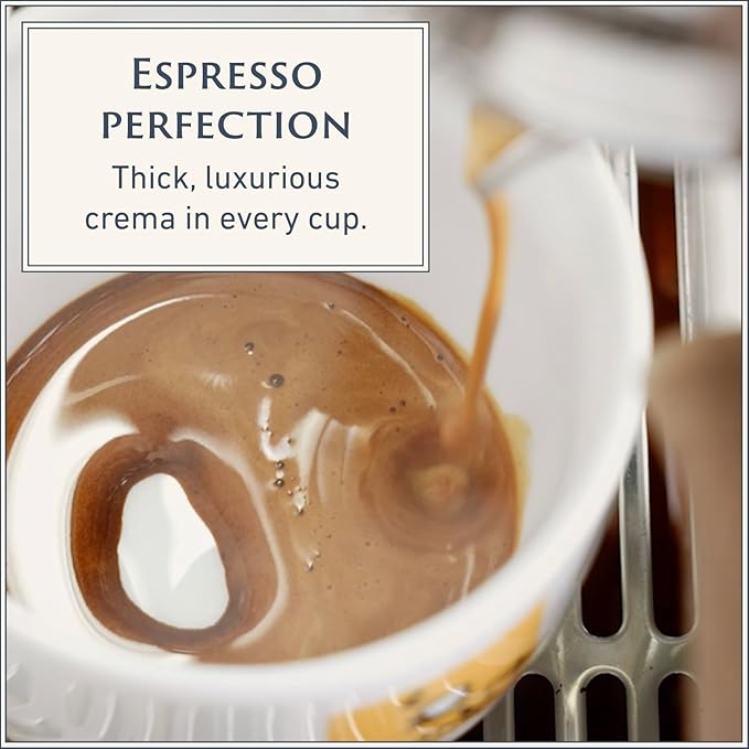 Filicori Zecchini Italian Espresso Beans ??Whole Bean Coffee, Bold Dark Roast Arabica & Robusta Blend ??Slow Roasted ??Forte 2.2lb Bag