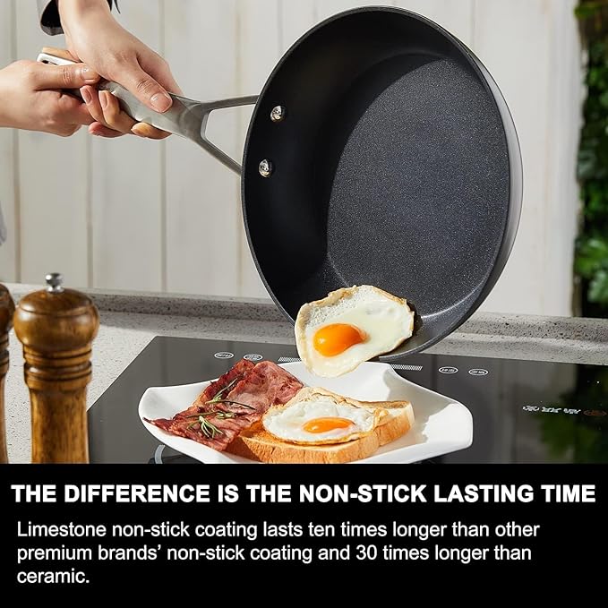 MsMk 9 1/2 Inch Small Egg Pan with Lid, Titanium and Ceramic Nonstick Omelette Pan,Scratch-resistant, Induction Egg Skillet, Oven Safe to 700째F Pan for Cooking, Dishwasher Safe